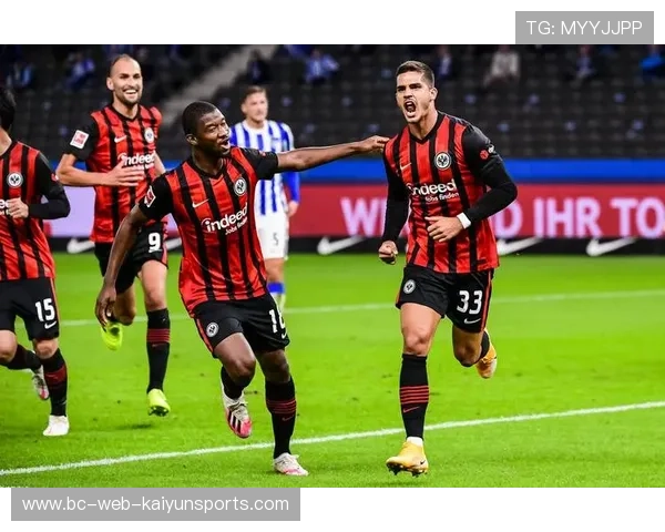 海登海姆赛前伤病与备战汇总——赛场上的隐形战斗